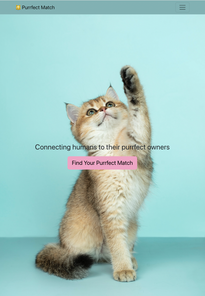 Github Chiaracaprasi Purrfect Match