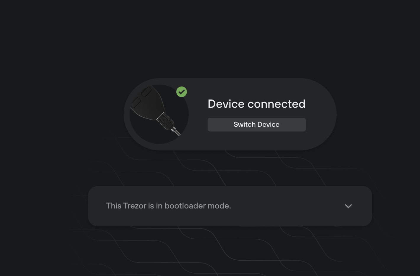 After the fw update, the application shows two devices · Issue #4307 ·  trezor/trezor-suite