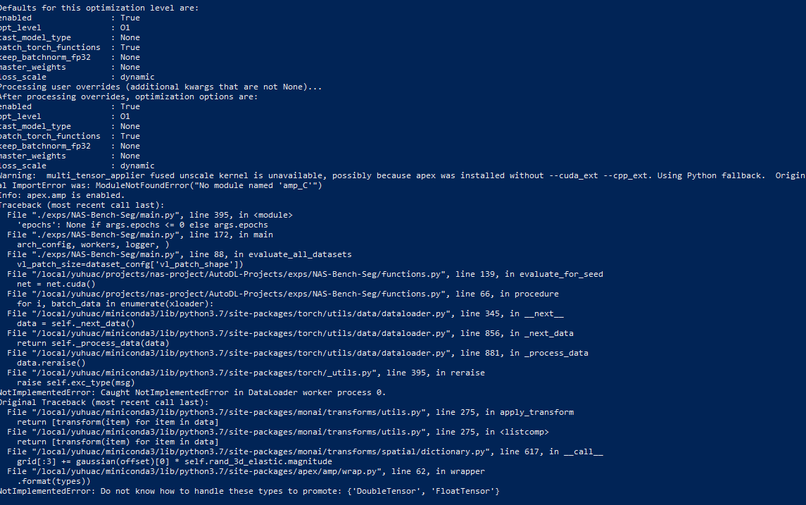 Elastic3D causes error when using mixed precision training (apex.amp ...