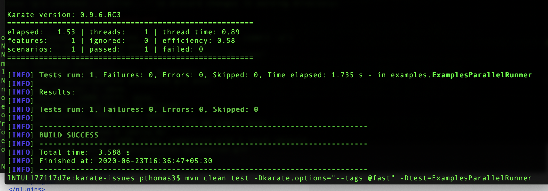 karate.options tags not honored for junit5 parallel runner and errors