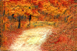 trees-paint2image-finetuned