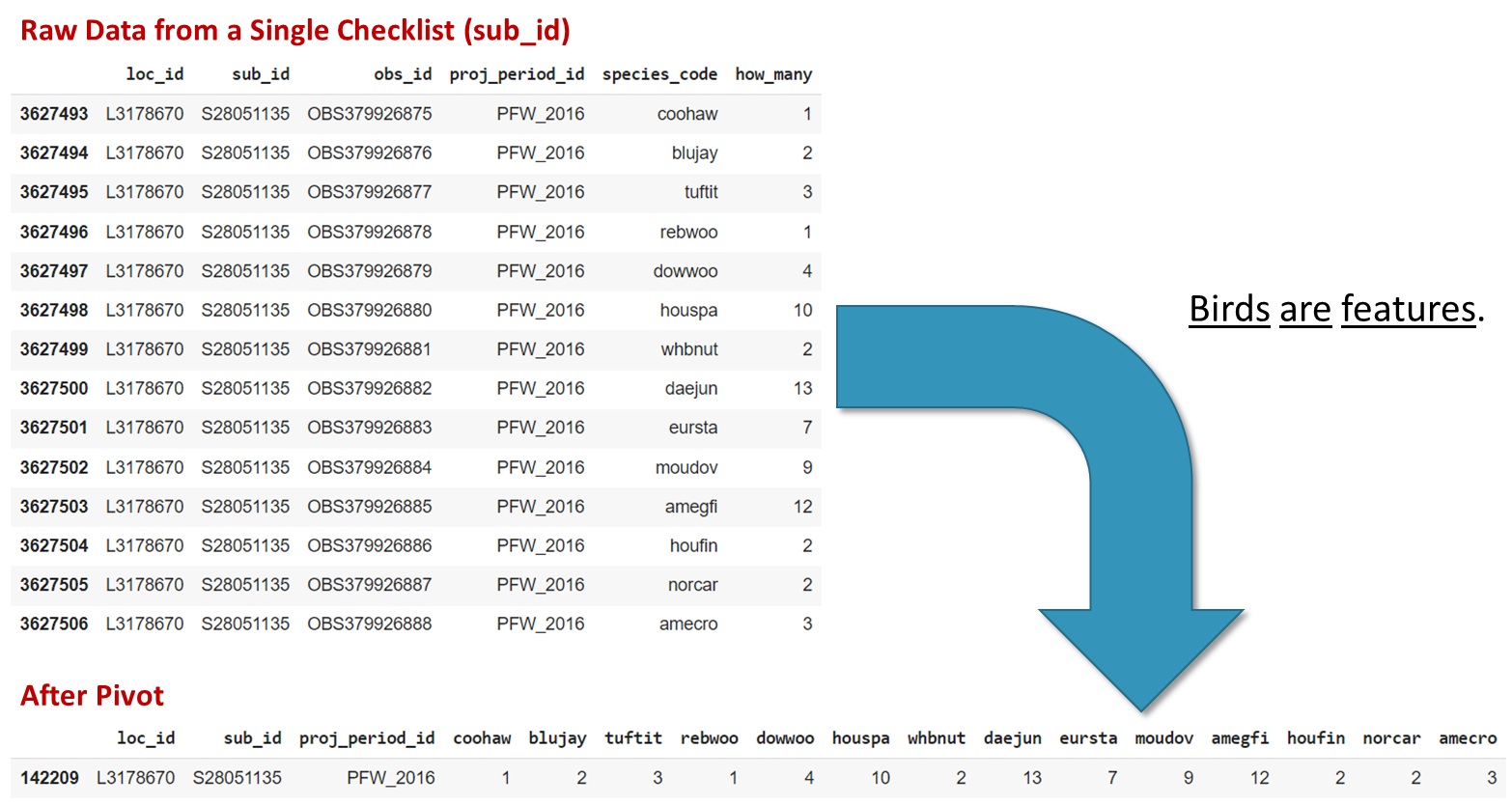 Bluebird Code Graph GitHub - jmintz4/bluebird_class: Predicting the Presence or Absence of ...
