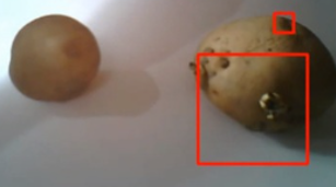 GitHub - Alonewolf963/Potato-Disease-Detection-using-Image-Processing ...