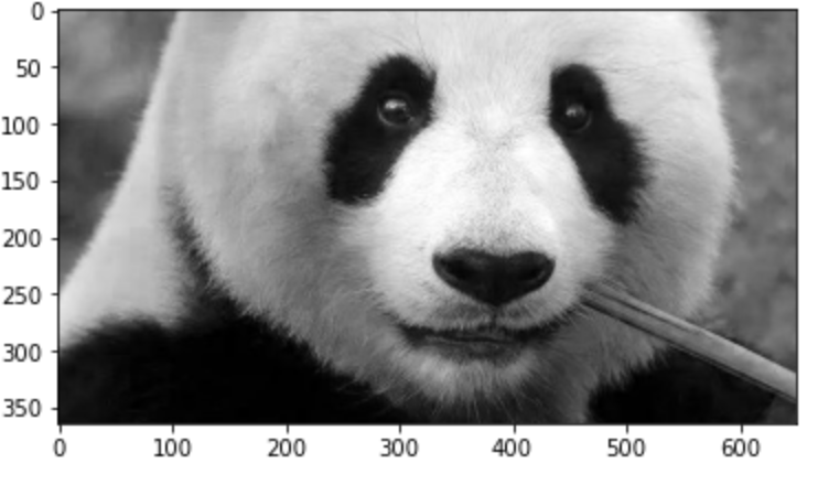 GitHub - RayWangRui/Coding-2--Ray