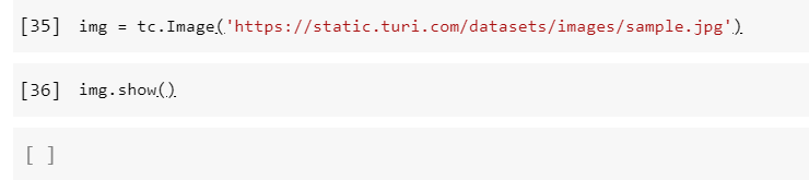 Image not show on Google Colab Jupyter Notebook · Issue #1269 · apple ...