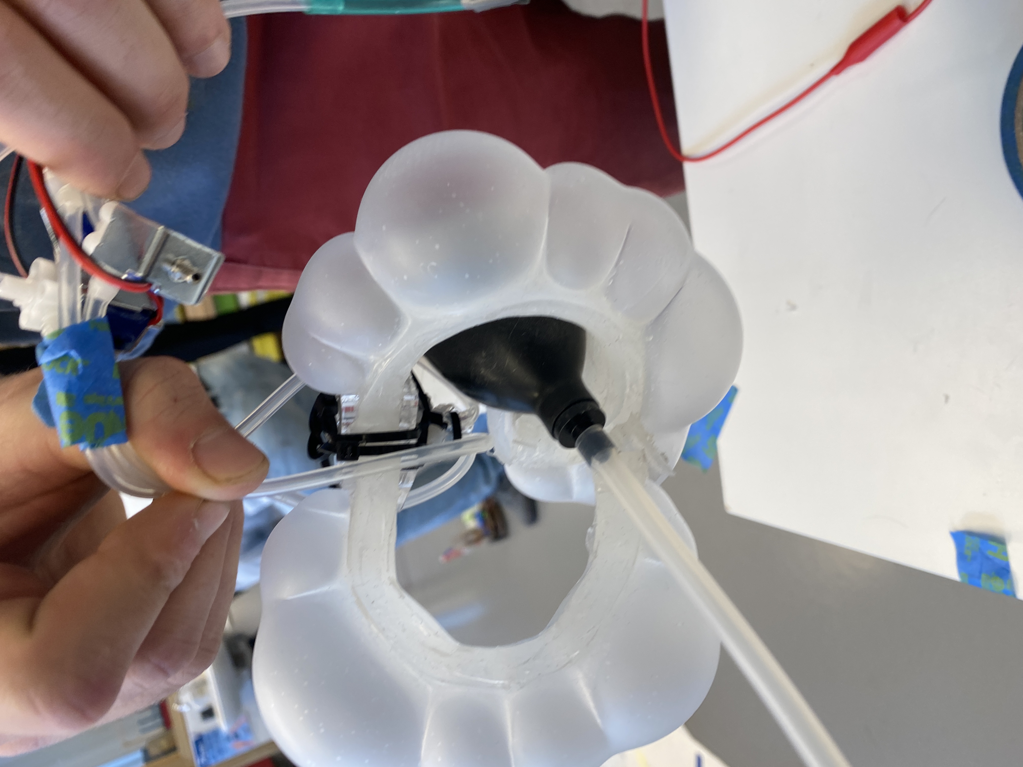 GitHub - evaelb/softrobot: One-week project: building a soft robot ...