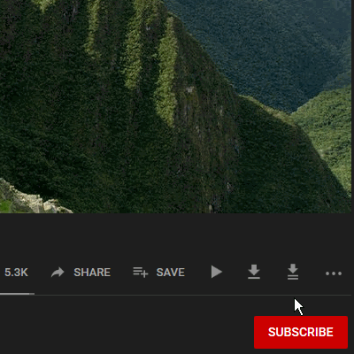 ss1
