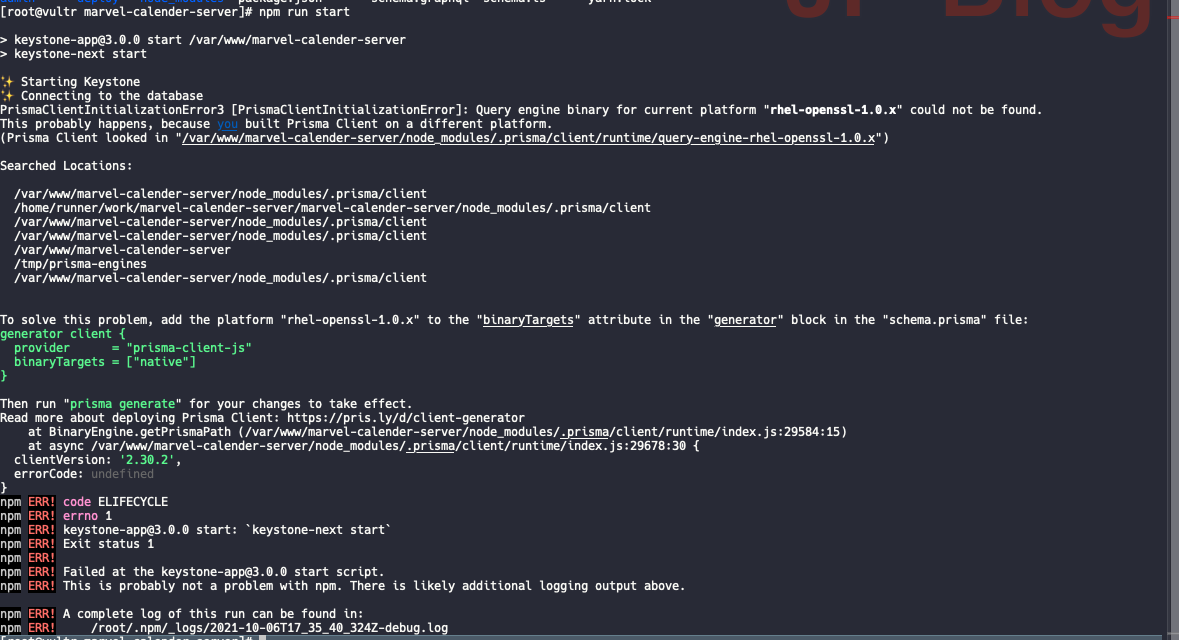 npm run start fail · Issue #6734 · keystonejs/keystone · GitHub