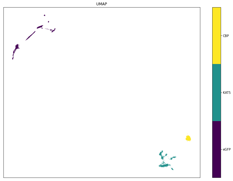 GitHub - CamilleChallier/Transcriptomics_ML_project