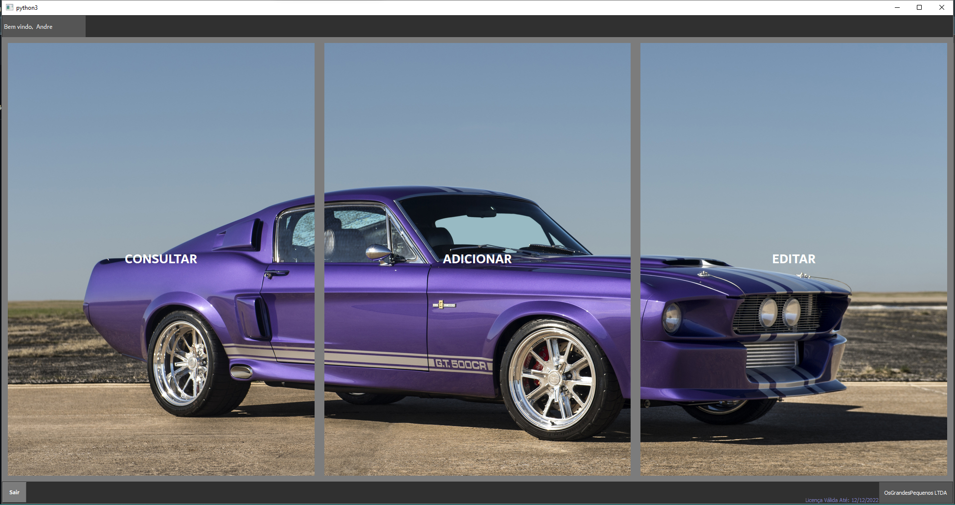 GitHub - afchamis21/CarsProject: Software feito para realizar CRUD de ...