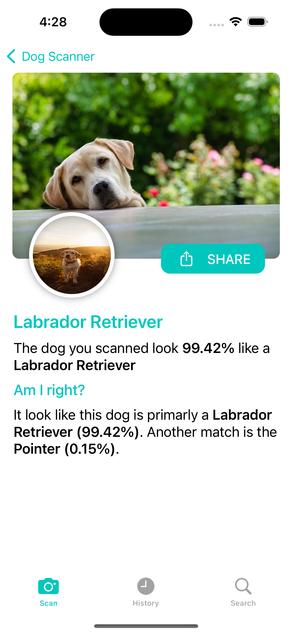 GitHub antonioscognamiglio/DogScannerRemake