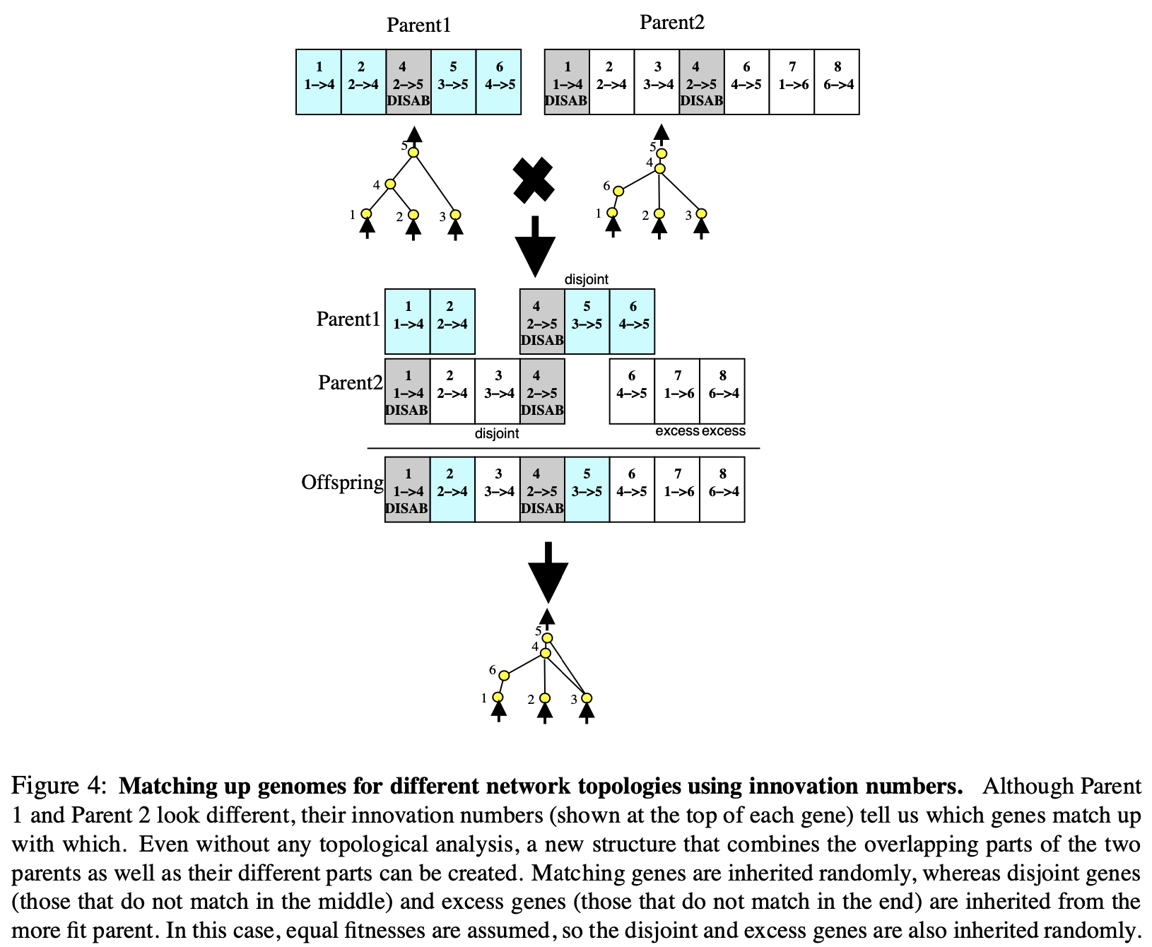 GitHub - dorazhang93/neuroevolution