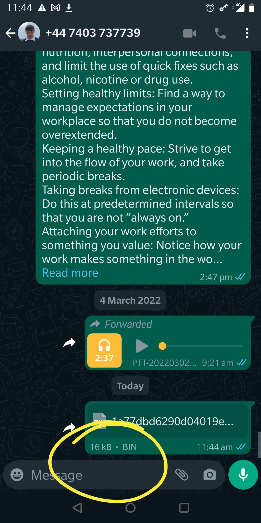 Screenshot_20220306-114411