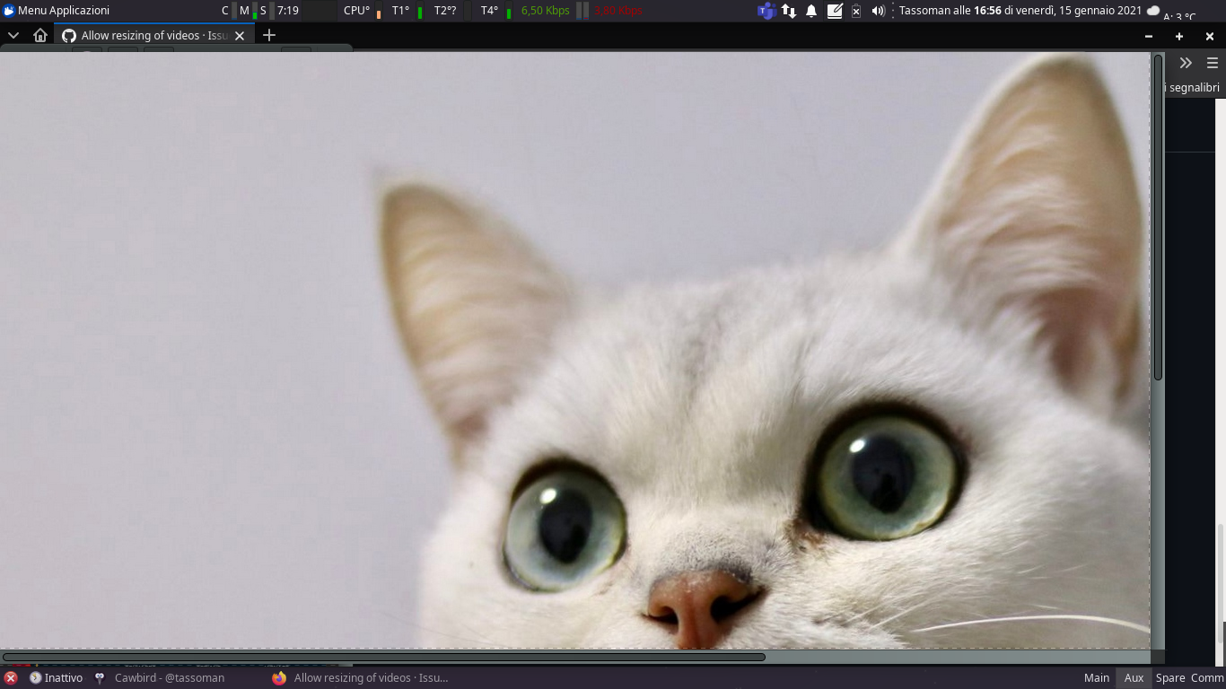 Istantanea_2021-01-15_16-56-37