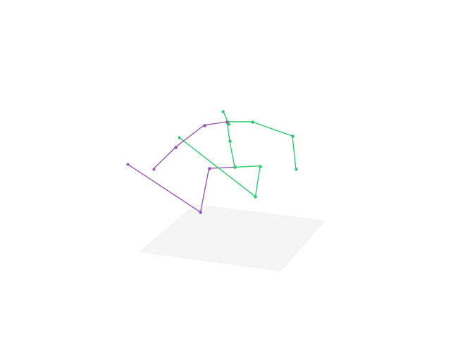 pose_frame_000000000021