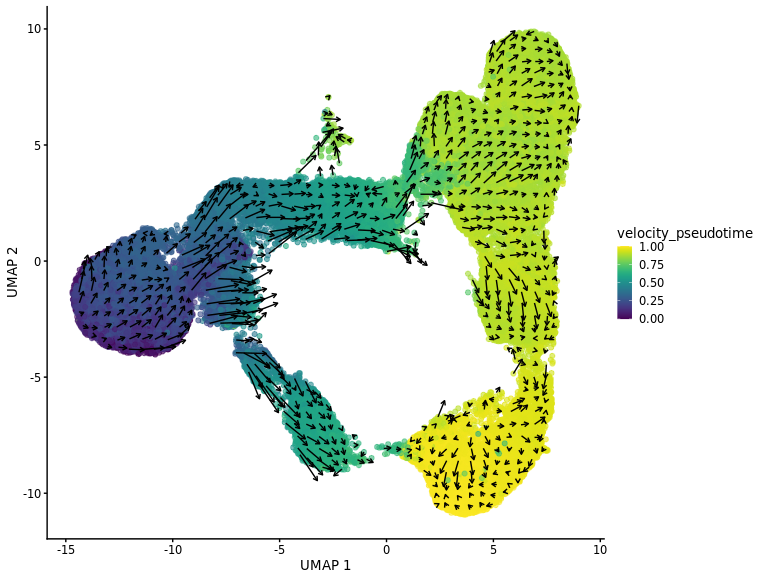Dropping group of cells to improve pseudotime projection · theislab ...