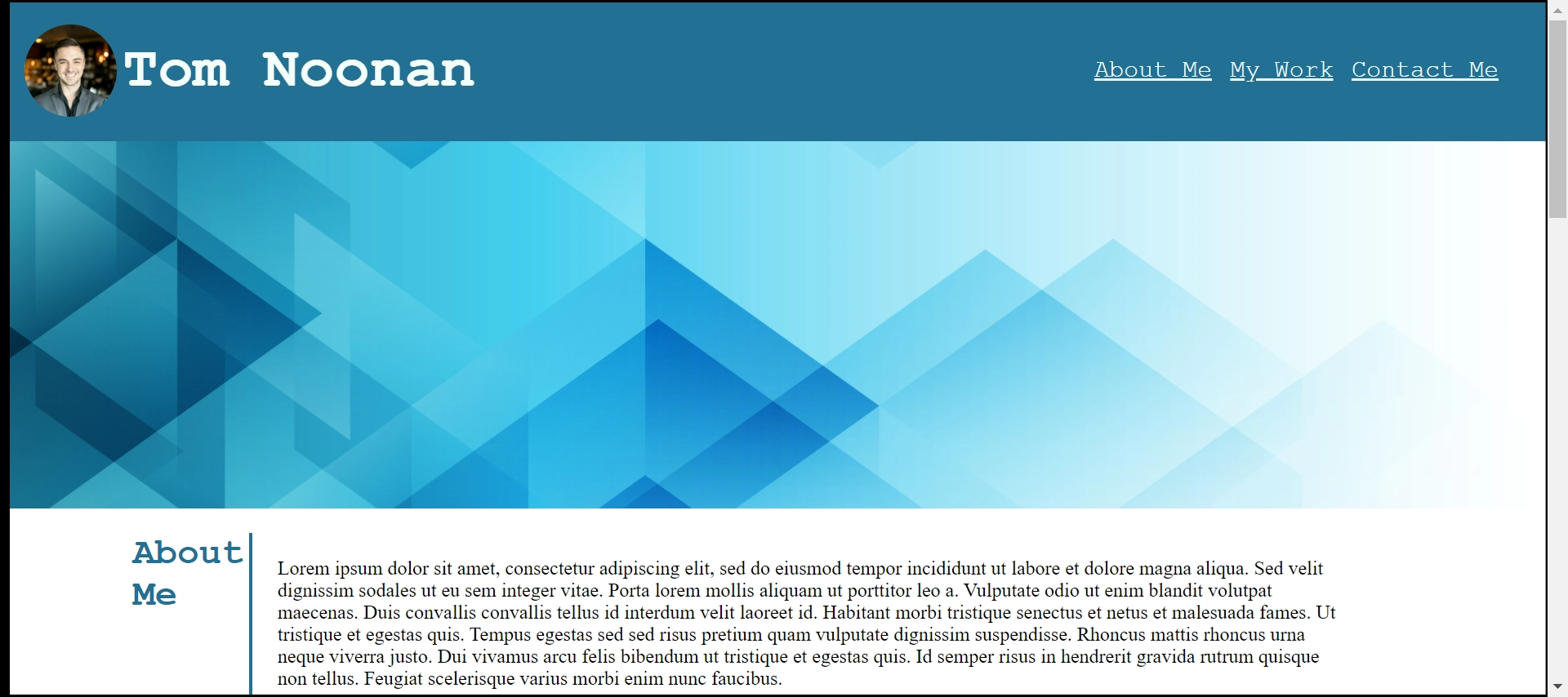 GitHub - tnoonan88/Portfolio-Page: This is a web page that displays my ...