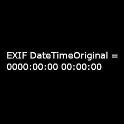 exif_datetimeoriginal_placeholder