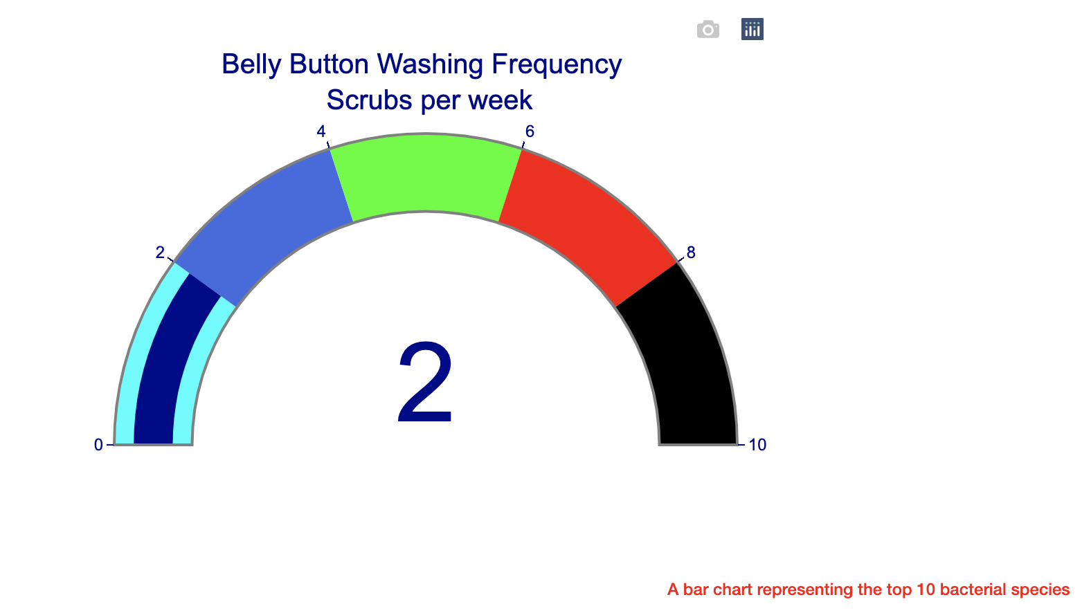 GitHub - jrauschnot/bacteria_biodiversity: Uses Plotly and JavaScript ...