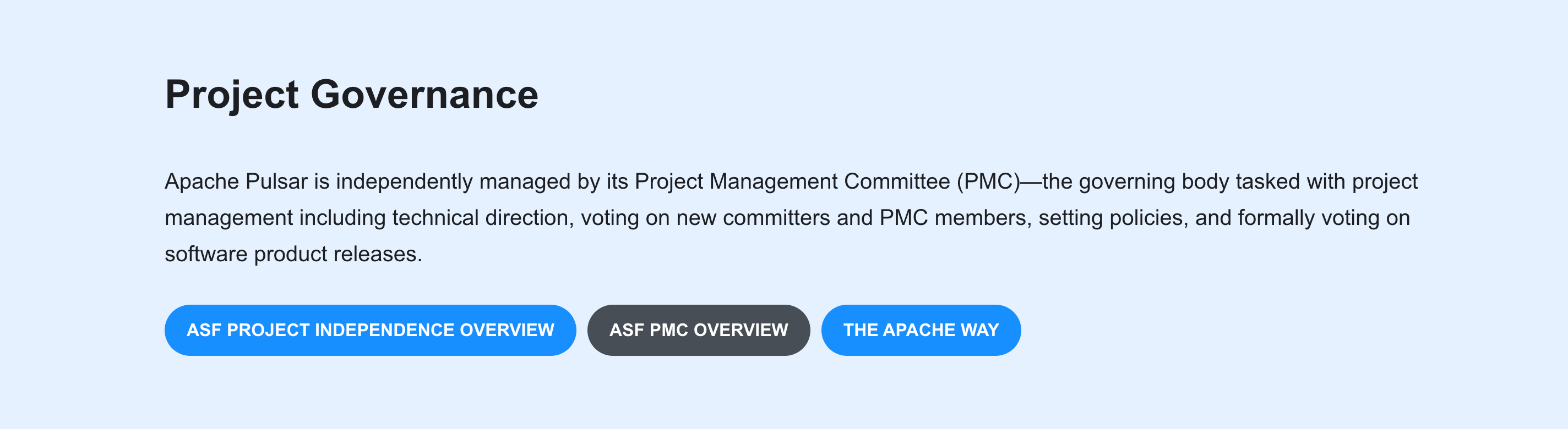 project-governance-before