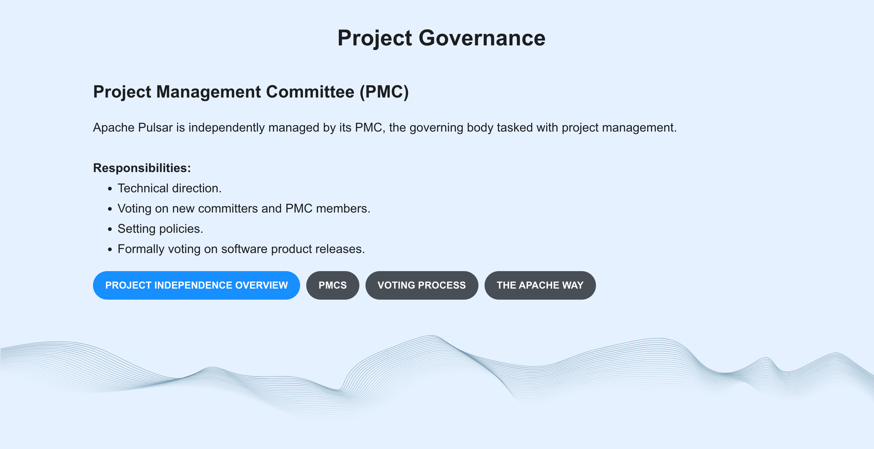 project-governance-after
