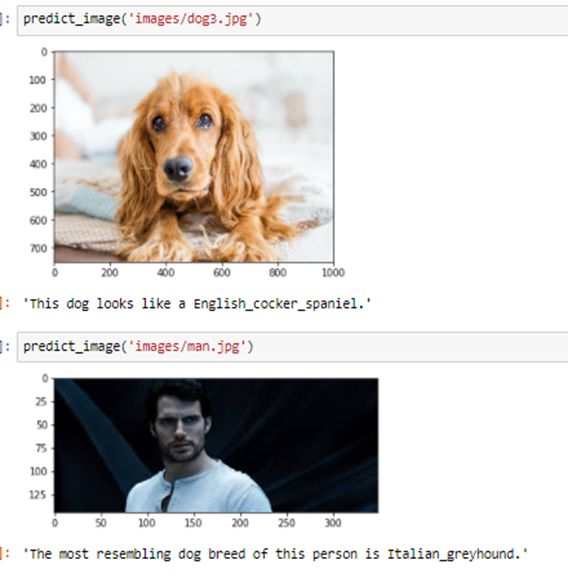 GitHub - RayanMa/Dog-Breed-Classfication