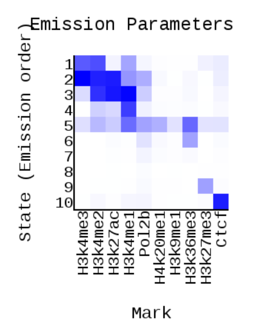 GitHub - SonOfFlowers/hse_hw3_chromhmm-2