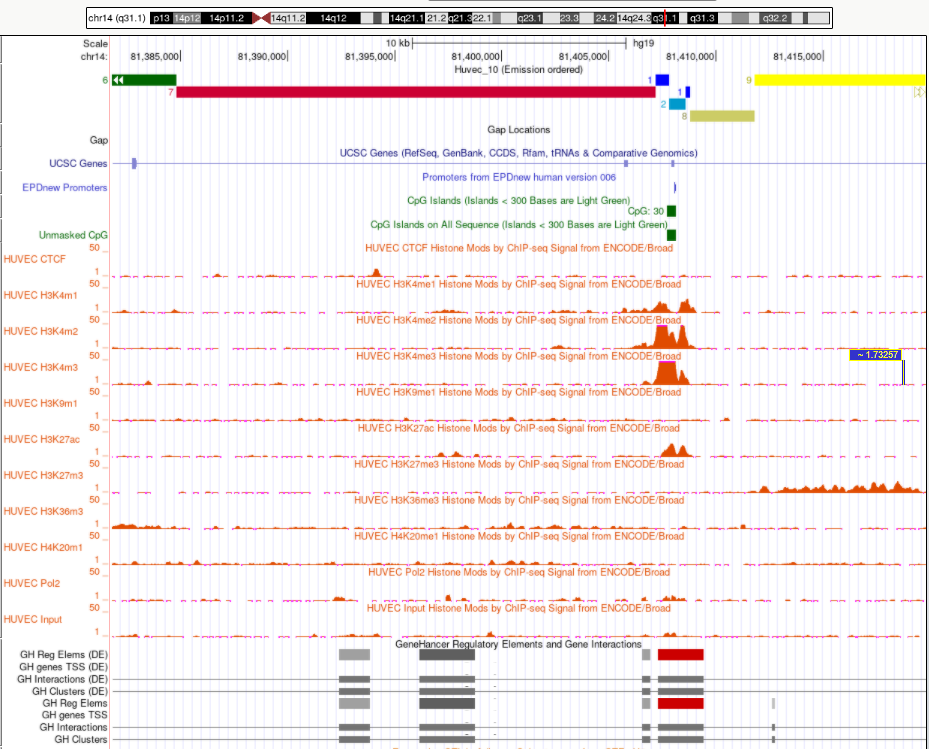 GitHub - SonOfFlowers/hse_hw3_chromhmm-2