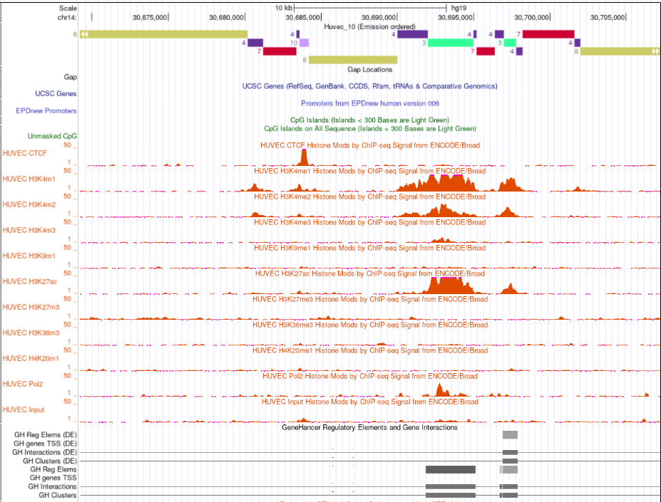 GitHub - SonOfFlowers/hse_hw3_chromhmm-2