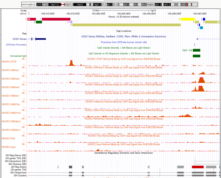 GitHub - SonOfFlowers/hse_hw3_chromhmm-2