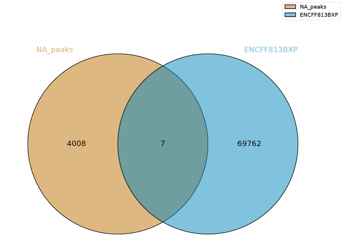 GitHub - SonOfFlowers/hse_hw2_chip