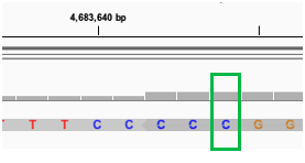 Samtools 1.15.1 Incorrect Quality Scores for Overlapping Reads · Issue ...