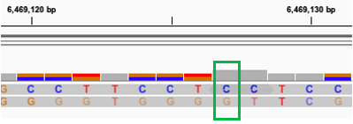 Samtools 1.15.1 Incorrect Quality Scores for Overlapping Reads · Issue ...