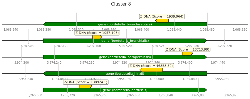 GitHub - greggasd/hse22_project