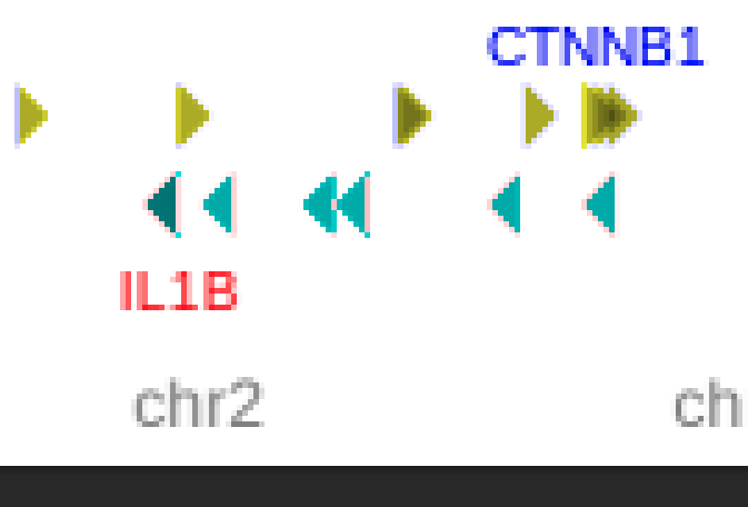 Screen Shot 2019-12-15 at 4 58 04 PM