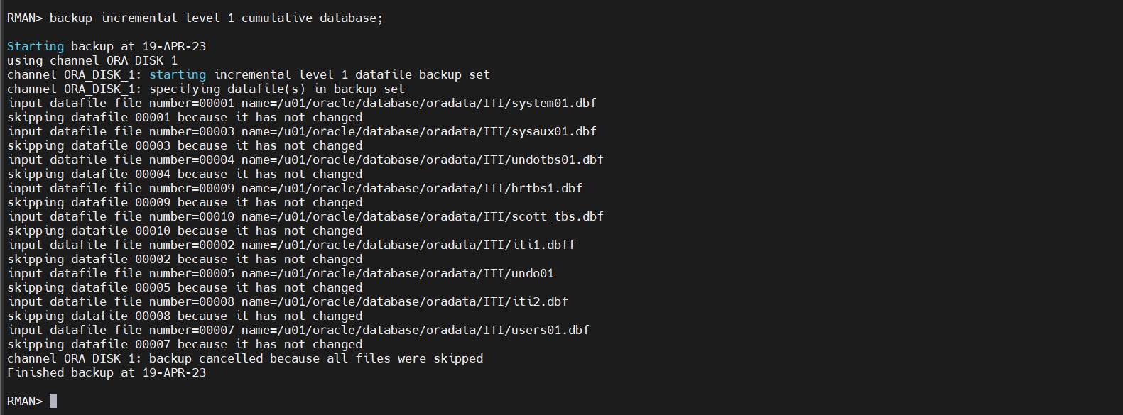 Github mayadamagdy24 dbaii lab2