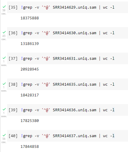 GitHub - Sergey-Arakelov/hse21_hw3