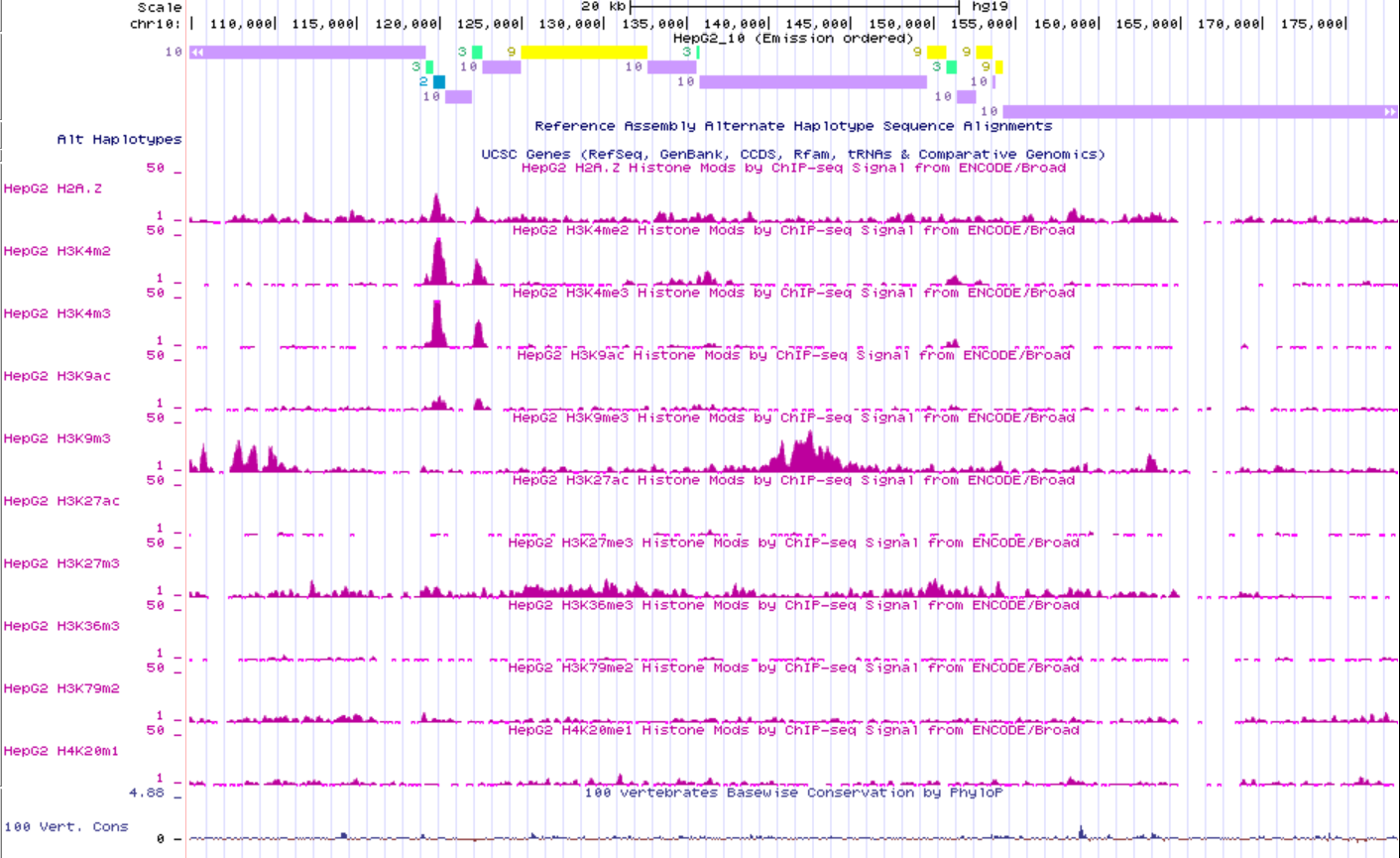 GitHub - Solomorning/hse_hw3_chromhmm