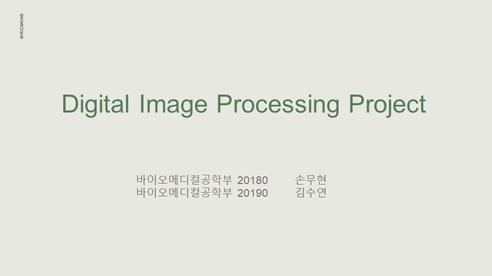 GitHub - MuHyeonSon/Medical_Image_Processing: Medical image processing ...