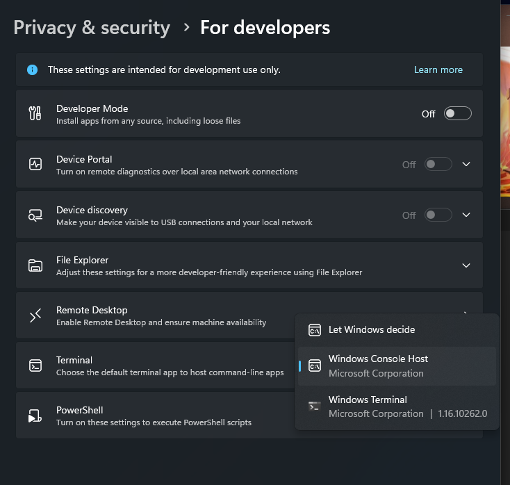 FYI Launching scoop installed Ludusavi with default Terminal set to