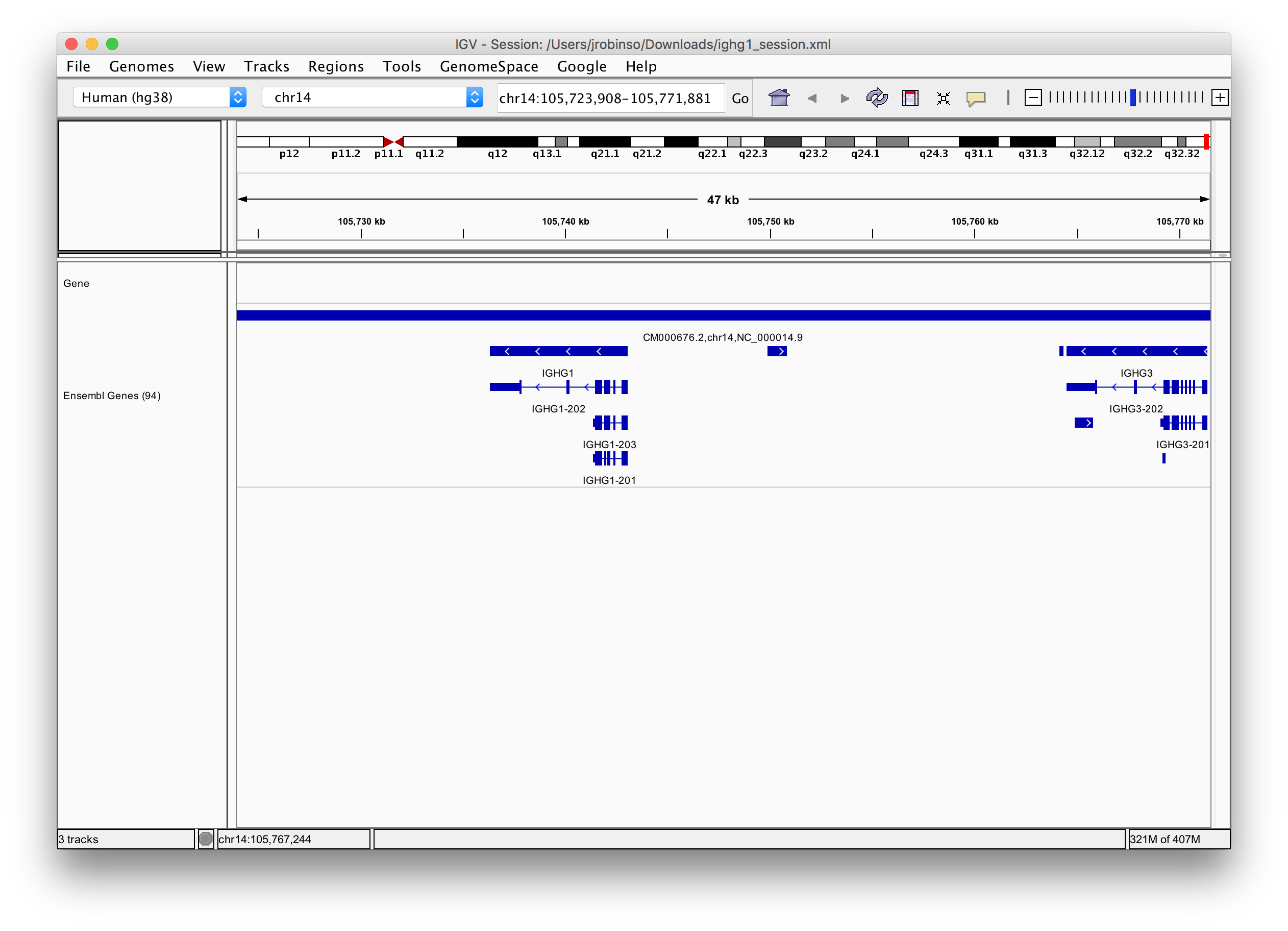 Intergenic Transcript Label Placement · Issue #539 · igvteam/igv · GitHub