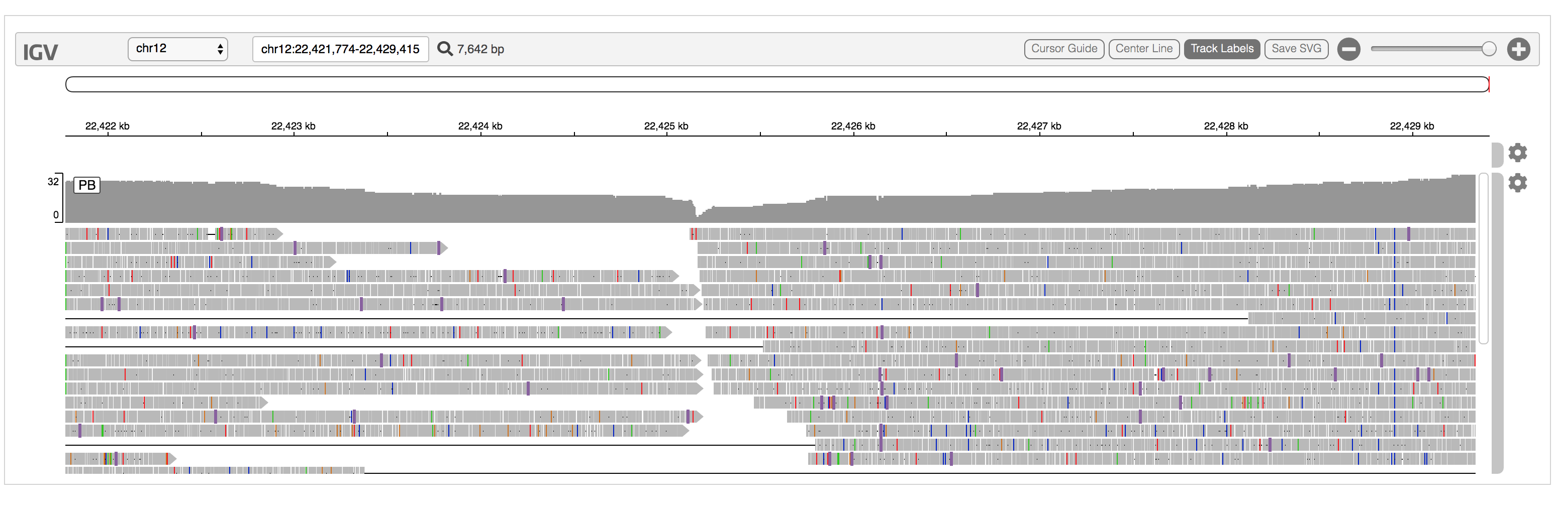 Slow rendering of pacbio alignments · Issue #1004 · igvteam/igv.js · GitHub