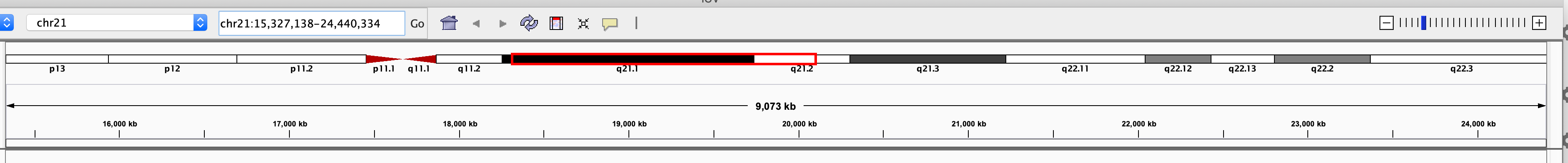 Sub optimal ruler ticks · Issue #852 · igvteam/igv.js · GitHub