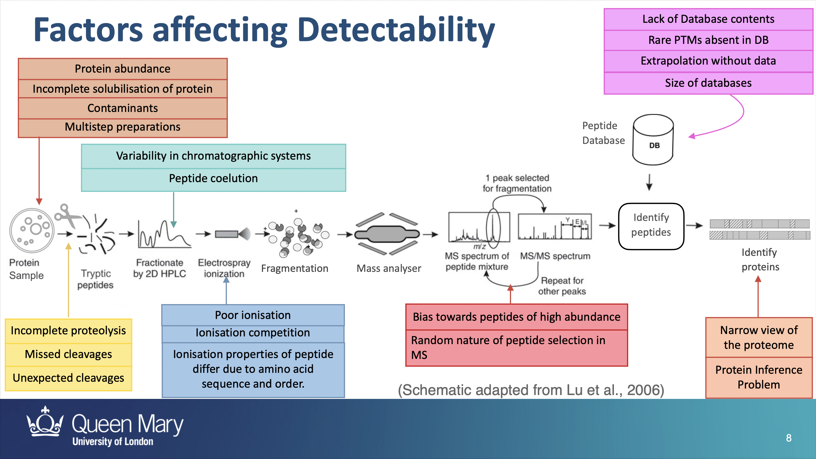 GitHub - daniellakavanna/peptide-detectability: A repository to show my ...
