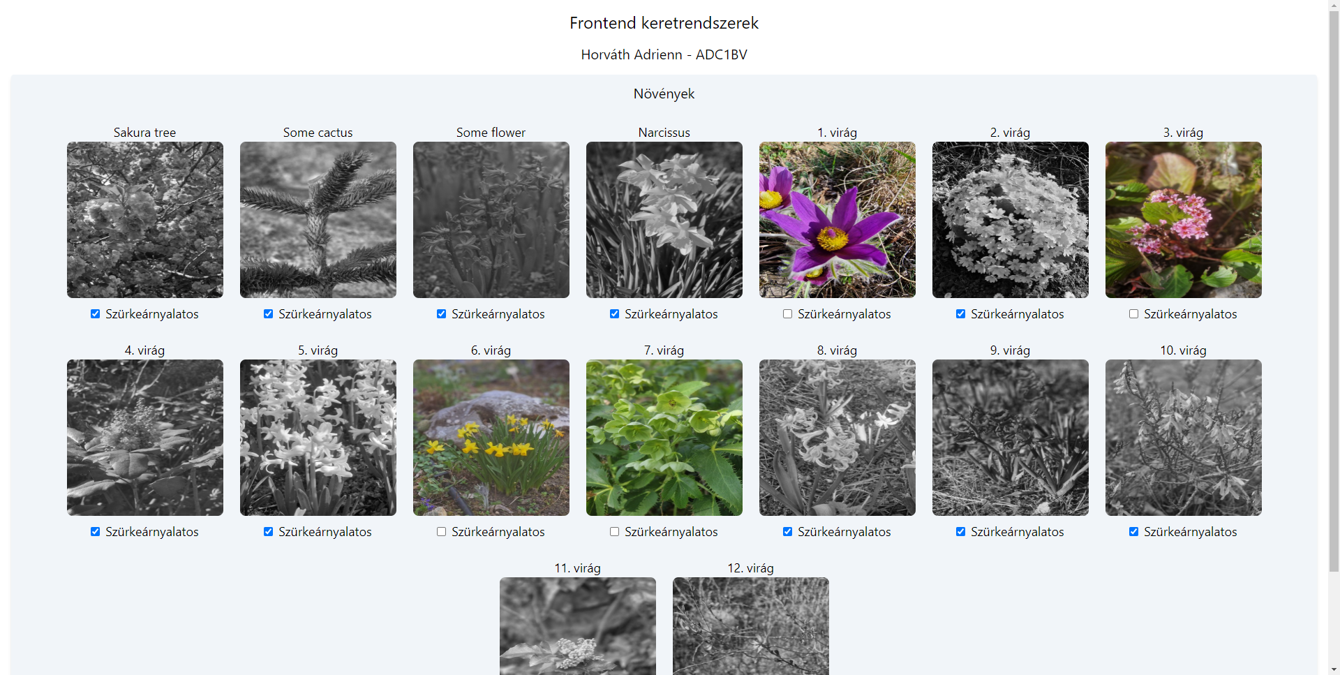 GitHub - Hadri2002/plants