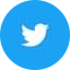 twitter-t-1