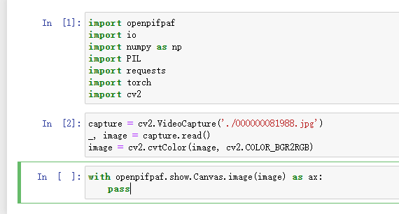 I can't use the api openpifpaf.show.Canvas.image(image) · Issue #524 ...