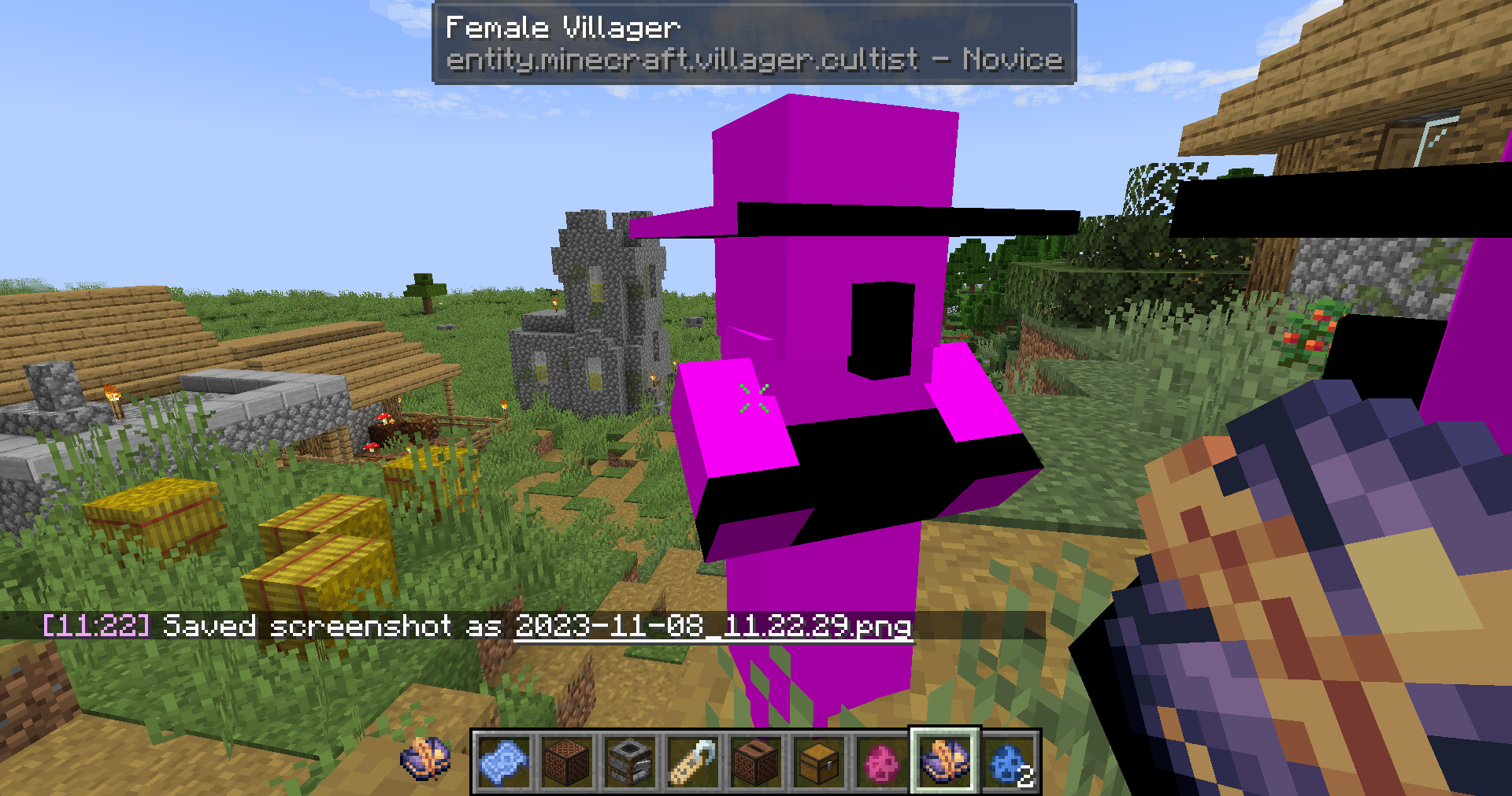 Missing cultist and adventurer textures when using vanilla squidward ...