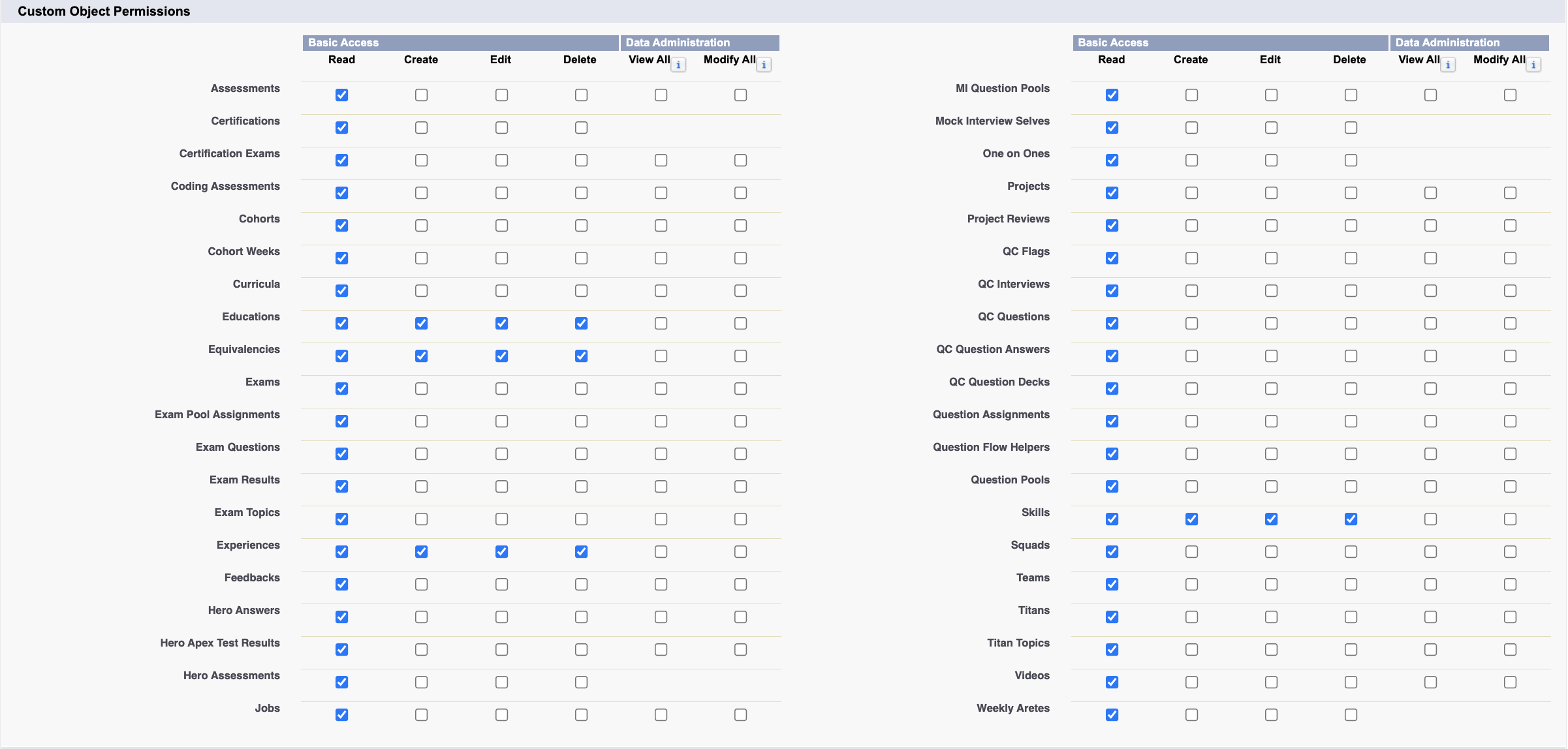 Hero profile Custom Object permissions