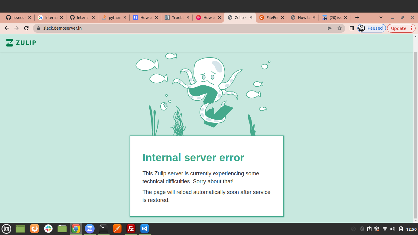 Internal server error-500( This Zulip server is currently experiencing ...